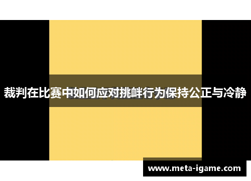 裁判在比赛中如何应对挑衅行为保持公正与冷静