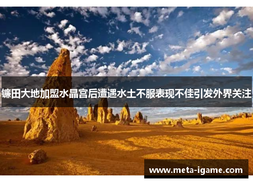 镰田大地加盟水晶宫后遭遇水土不服表现不佳引发外界关注