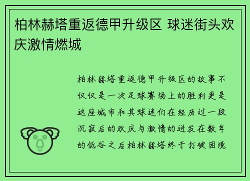 柏林赫塔重返德甲升级区 球迷街头欢庆激情燃城 柏林赫塔重返德甲升级区 球迷街头欢庆激情燃城